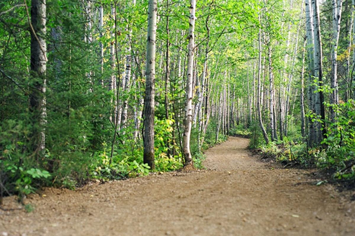 Trail system in Fort McMurray 