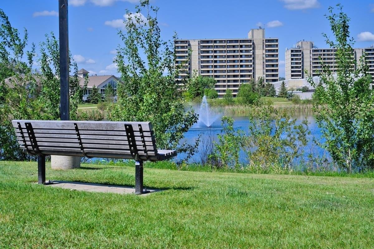 A place in downtown near Borealis Park