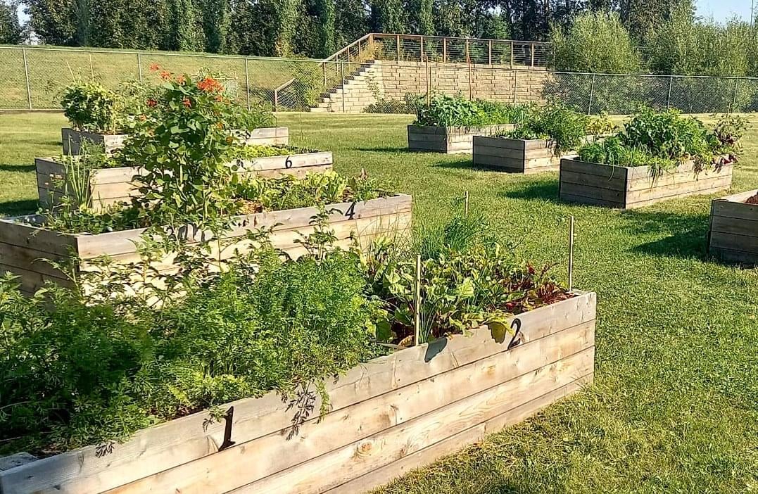 A garden in downtown Fort McMurray